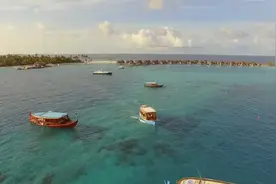 历史小故事：病菌和病毒的发现视频封面