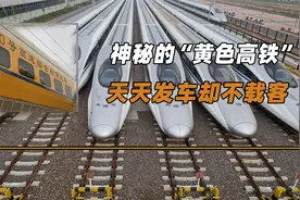 你见过天天发车，却从不载客的高铁吗？高铁为何不24小时运营？视频封面