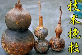 第一次种的葫芦瓜，发霉后的技术挽救，给90分吧！视频封面