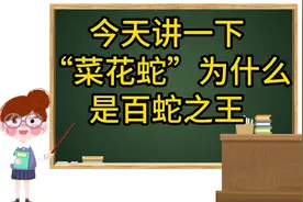 菜花蛇你了解吗？为什么“菜花蛇”是百蛇之王？它有什么特别之处视频封面
