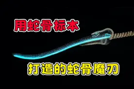 用真实蛇骨标本打造一把附魔蛇骨刃，看起来居然这么帅？