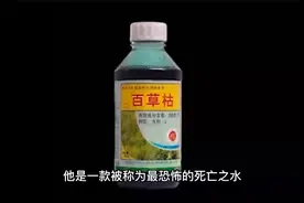 现代农业最恐怖的死亡之水-百草枯视频封面