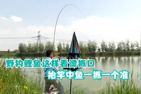 野钓鲤鱼漂相解析，能读懂这些浮漂动作，抬竿中鱼越钓越过瘾！