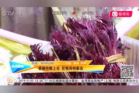 150元一斤降为70元一斤！香椿成为“天价菜”，究竟是为啥？