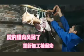 家里腊肉盐放得少变味了，老妈凑近闻出了臭味，重新加盐挂起来