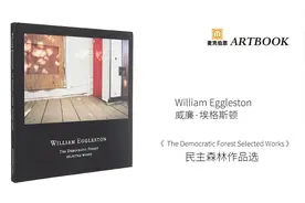 [翻书 | 摄影画册]｜William Eggleston:民主森林[选集]视频封面