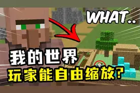 我的世界：玩家拥有缩放能力，门口出现一张大脸，吓玩家一跳