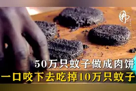 50万只蚊子做成的肉饼，一口下去吃掉10万只蚊子，非洲料理蚊子饼视频封面
