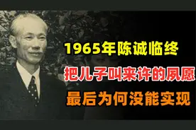 1965年陈诚临终，把儿子叫来许的夙愿，为什么最后没有实现