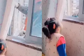 工人在窗外作业，萌娃：别掉下去了！，萌娃与工人对话暖人心！视频封面