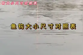 鱼钩大小尺寸对照表视频封面