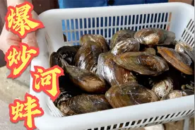 难得的野生小河蚌，大厨展示宰杀制作的完整过程，味道真叫一个鲜