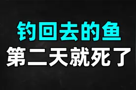 为什么钓回去的鱼第二天就死了？老师傅分享半个月鱼都不死的方法视频封面