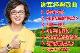 谢军经典歌曲《碎心石》《山谷里的思念》《那一夜》《阿哥阿妹》