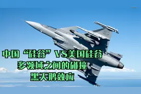 中国“硅谷”VS美国硅谷！多领域之间的碰撞，黑天鹅效应