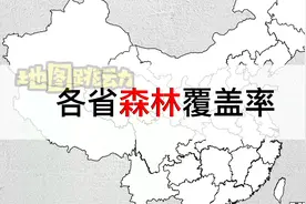 各省森林覆盖率，福建独一档视频封面