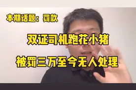 双证司机跑花小猪被罚三万至今没人理，滴滴靠新平台割韭菜视频封面