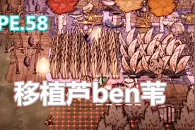 【饥荒】教大家如何移植芦苇