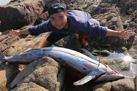 大熊赶海抽水坑，抽水机中途罢工，却遇海浪打上来的巨型百斤海货视频封面