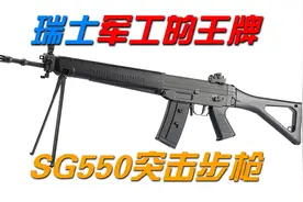 瑞士军工的王牌——SG550突击步枪视频封面