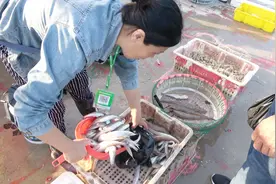 2块钱一斤的梭鱼，到底是什么味道那？让我们来看看三叔的厨艺视频封面