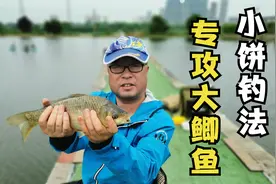 简单高效的“小饼”钓法，专攻远处的大鲫鱼，渔获多人还轻松