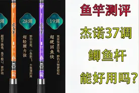 杰诺庆余年37调鲫鱼杆会不会又是一把面条竿