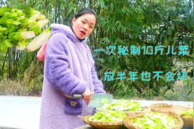 四川儿菜很多人都看不懂，今天教老板特色秘制，鲜香脆爽开胃下饭视频封面