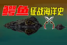 谁说鳄鱼不能下海？远古鳄鱼征战海洋，竟然长达2亿年！