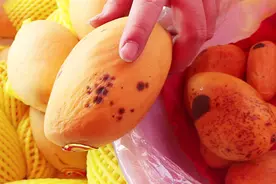 发黑的芒果还能不能吃？我也是今天才知道，别忽视视频封面