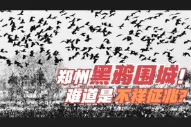 河南郑州出现异象！“群鸦围城”哀鸣数日，这是灾难来临的预兆吗视频封面