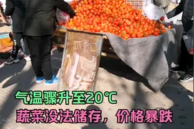 气温20度，逛潍坊的西园街市场，西红柿价格暴跌，地瓜涨价吃不起视频封面