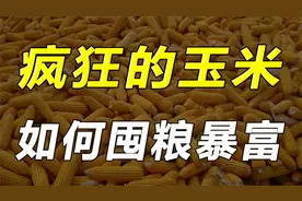 炒作农产品有多暴利？聊聊囤粮暴富的那些事视频封面