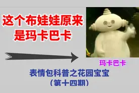 【表情包科普14】玛卡巴卡？花园宝宝？来认识认识他们吧视频封面
