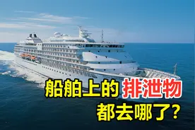 船舶上的排泄物怎么处理？一两吨的粪便，会直接排入海中喂鱼吗？视频封面