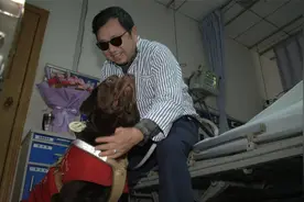 后续来了！导盲犬CoCo接主人出院回家过年视频封面