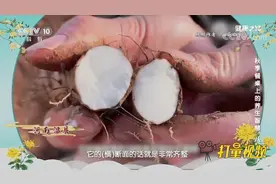 铁棍山药对土壤要求极高，铁棍山药和普通山药有何区别|健康之路