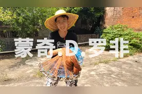 入侵物种多严重？一网下去，9.5条都是它！