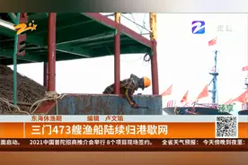 东海休渔期：三门473艘渔船陆续归港歇网视频封面
