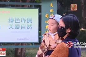 广西计生政策征集公众意见 或增加产假设立育儿假