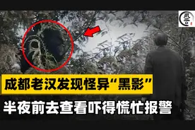 2010年，村民意外发现黑影端坐15米高大树，专家一看：牢底坐穿兽