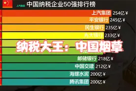 国内纳税企业50强排行榜，网友：中国烟草真是纳税届的扛把子视频封面