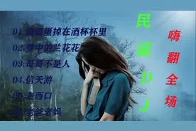 最热经典6首陕北民歌DJ，开车必备，真是百听不厌