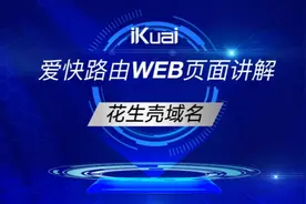 花生壳域名视频封面