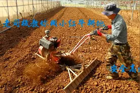 #春耕进行时#老司机教你开小红牛（微型旋耕机）安全高效地还平整视频封面