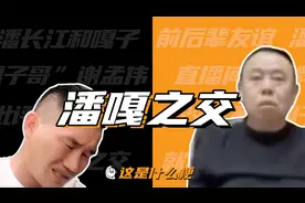 这是什么梗：潘嘎之交！改变不了嘎子，就成为嘎子