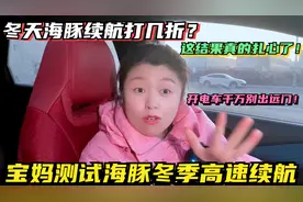 宝妈测试比亚迪海豚冬季高速续航打几折，这结果真的让人里程焦虑