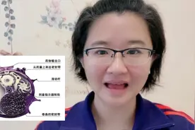 哮喘慢阻肺常用吸入药物信必可&舒利迭，有啥区别，药师深入讲解