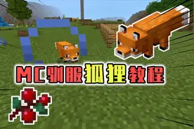 我的世界：用残忍的手法驯服狐狸，驯服成功后就不会吃鸡了！