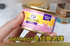 开罐测评 | 经典美罐Wellness到底怎么样？视频封面